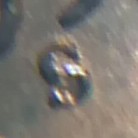 Found-Searching-Through-Wheatbacks.-Needs-Validation.